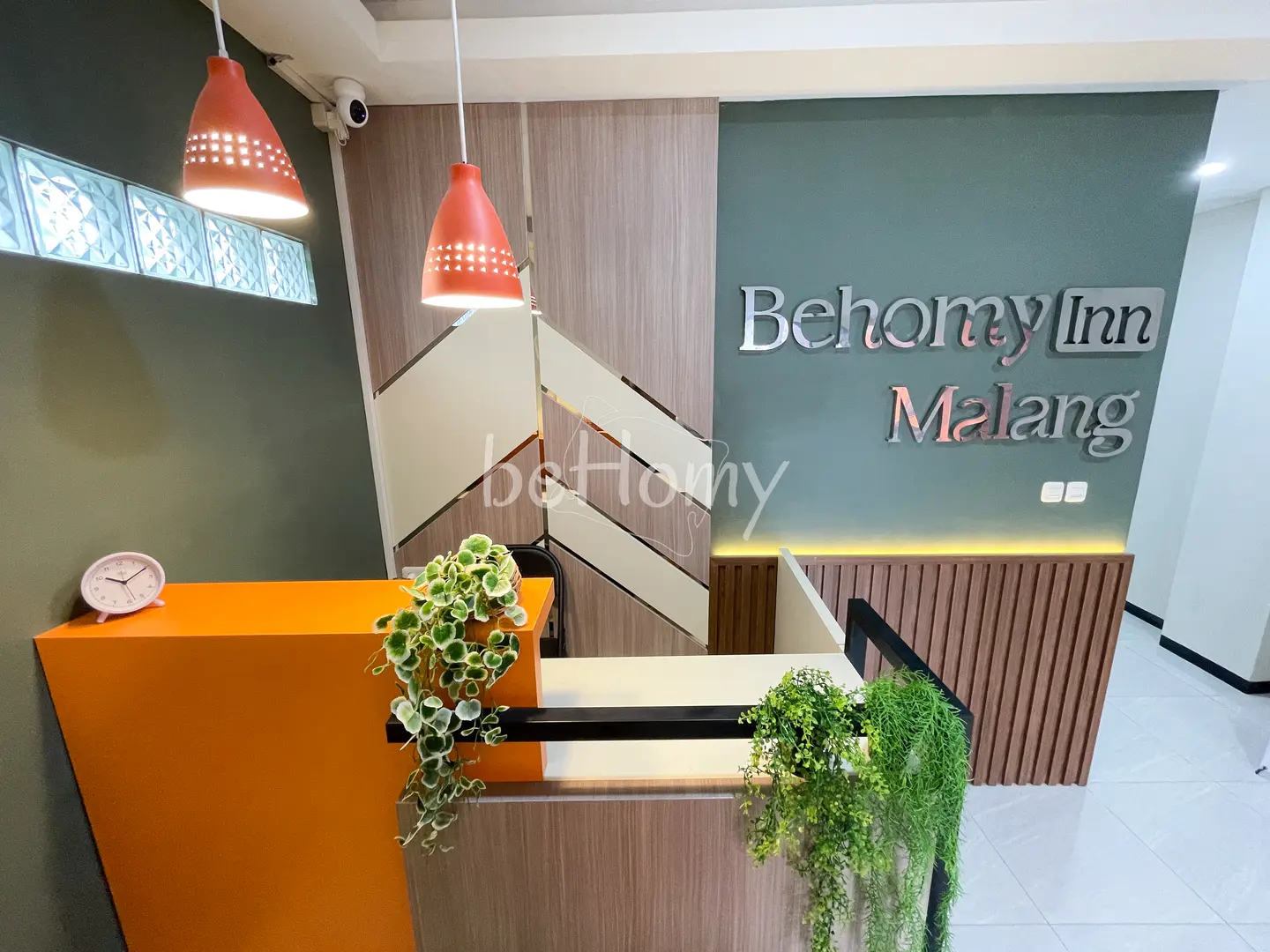 Gallery image 4